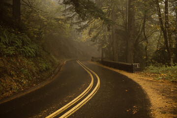 Obraz premium United States National Park road