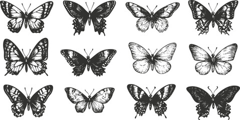 Black and white vector illustration of various butterfly designs.