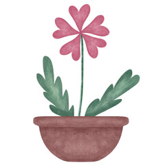 Flowers in pot