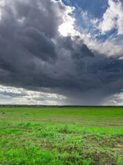 Obraz premium Field of grass is covered in clouds