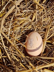 Obraz premium Single Brown Egg in a Rustic Straw Nest.