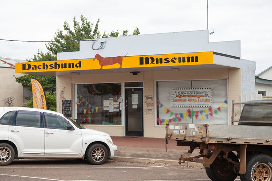 Now Dach's a Gallery. Dachshund Museum in Edenhope, Australien. Kurioses aus Australien &ndash; Das Dachshund-Museum in Edenhope