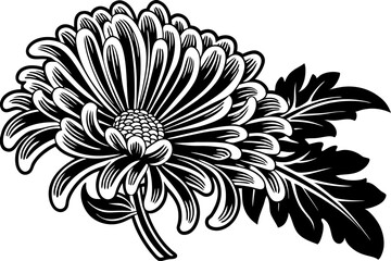 A versatile floral illustration collection designed in a watercolor style. Use these botanical elements for packaging design, home decor prints, textile patterns, and more.