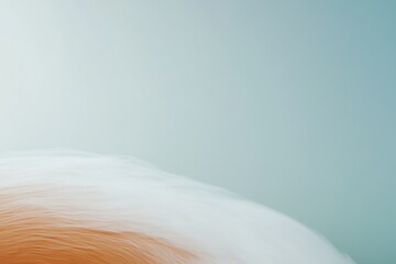 Obraz premium Soft gradients blend seamlessly, highlighting gentle textures an