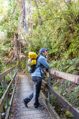 Hiker resting on wooden bridge while hiking in lush forest