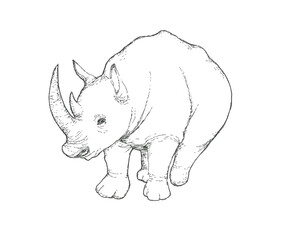 サイの手描きイラスト