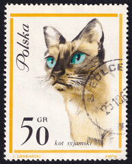 Siamese Cat (Felis silvestris catus) is depicted on a vintage cancelled postage stamp printed in...