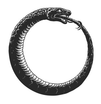 Black and white vector illustration of Ouroboros Snake biting its tale on the white background. 