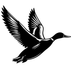 Obraz premium Flying duck silhouette