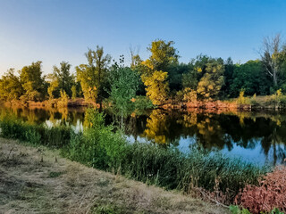 Fototapeta premium A serene lake that is beautifully surrounded by a variety of trees and lush green grass, with a clear blue sky in the background providing a picturesque view of natures beauty