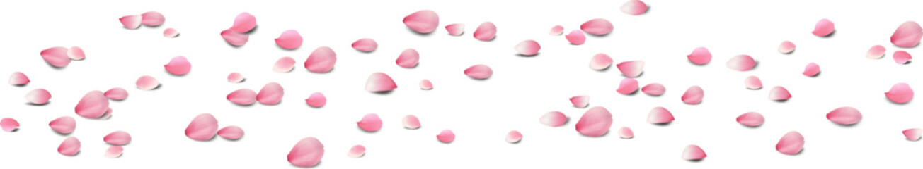 rose petals Or cherry blossom petals will fall on abstract floral background with gorgeous rose petal greeting card design