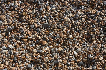 pebbles on the beach
