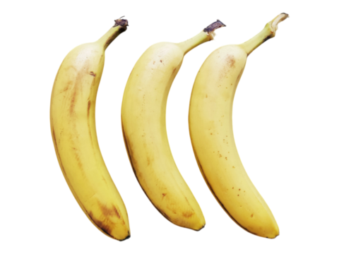 Three ripe bananas arranged in a visually appealing row against a white background.  Perfect for concepts of health, abundance, or simple natural beauty.