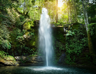 Generated image　森の泉