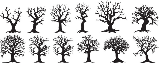 Bare Tree Silhouettes Vector Set, Isolated on White Background