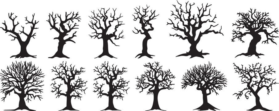 Bare Tree Silhouettes Vector Set, Isolated on White Background