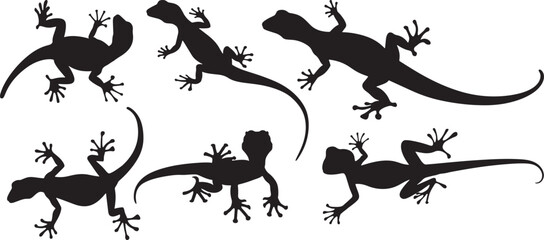 Lizard Silhouettes, Set of Vector Illustrations Isolated on White Background