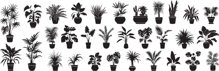 Houseplant Silhouettes Vector Set, Indoor Plants in Pots Isolated on White Background