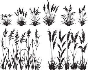 Grass Silhouette Vector Illustration Set, Isolated on White Background