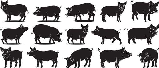 Pig Silhouettes Vector Illustration, Isolated on White Background.