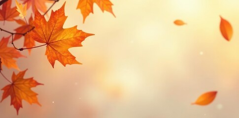 Fototapeta premium Softly lit orange leaves on a light background, delicate, earthy, autumn