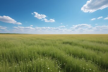 Obraz premium there are two eggs with hearts on them in the snow
