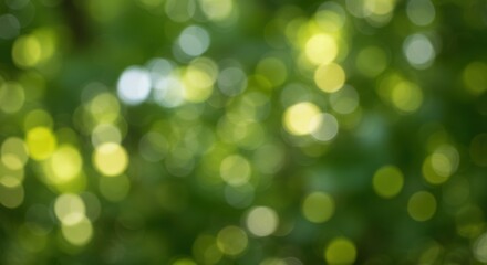 Soft Focus of Greenery with Bokeh Effect in a Lush Forest Setting