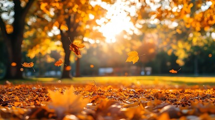 Vibrant Autumn Landscape with Colorful Foliage - Seasonal Outdoor Nature Photography