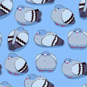 Seamless pattern with cute fat fluffy pigeons. Vector graphics.