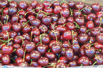 Fresh Juicy Cherries on Display