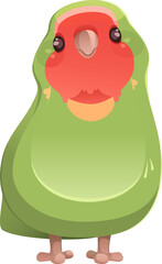 Parrot Character
