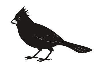 Northern Cardinal Walking Silhouette Vector , Bird Clipart for Wildlife and Nature Designs.