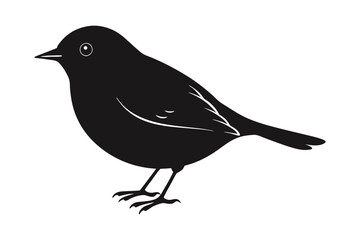 European Robin Silhouette Vector Illustration on White Background.