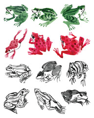 Chinese ink style watercolor frog painting