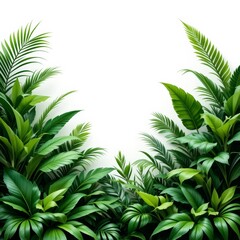 Fototapeta premium tropical green leaves background with empty space for text