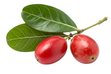 Miracle fruits with leaves isolated on transparent background