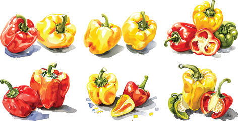 Pepper Vector Illustration, Watercolor Style, Isolated on White Background