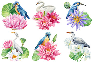 Fototapeta premium Water lilies and birds. Watercolor illustration with lotus flowers heron, kingfisher, swan. Elegant nature art design