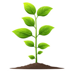 Obraz premium Green Plant Growing Out Of The Soil On transparent Background. Symbol Of Growth, Nature.
