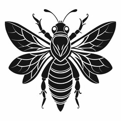vector illustration of a wasp