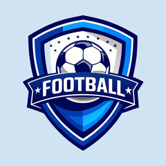 soccer ball with wings