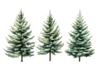 Set of Watercolor Green Trees, Hand-Painted Forest Illustration in white & transparent