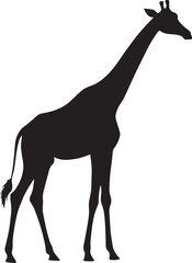 Fototapeta premium Giraffe Silhouette Standing Tall – Iconic Wildlife Design