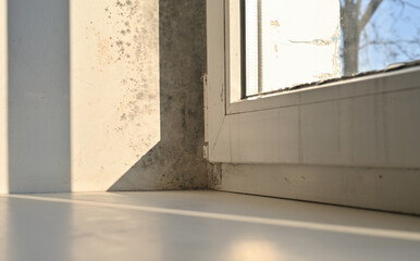 mold on the window in the apartment. 