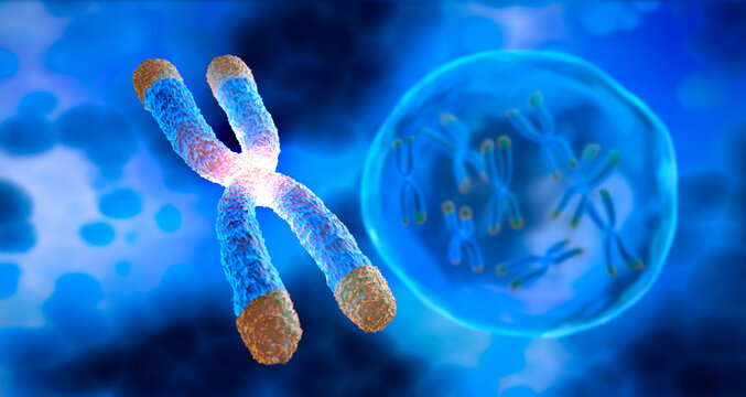 Chromosome with Telomere and bubble floating on blue background - science and anti aging technology - 3D illustration
