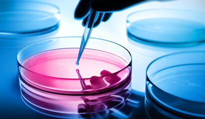 Petri dishes in the laboratory with pipette with drop of color liquid with blue background -...