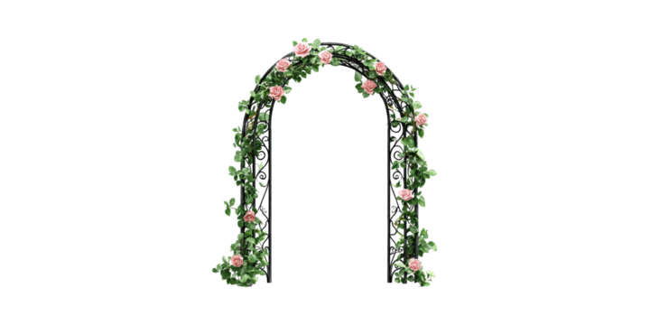Ornate arch with pink roses and green leaves isolated on transparent background