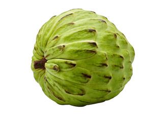 Obraz premium Close-up shot of a single cherimoya fruit, showcasing its unique textured skin and vibrant green color. Perfect for culinary blogs, health websites, or tropical-themed projects.