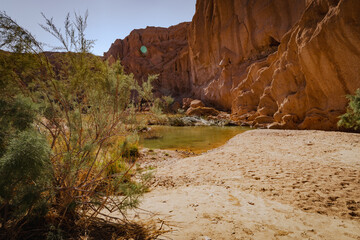 Oasis in Kal Jeni canyon, Iran. Water pool and vegetation amidst eroded rocks.