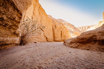 Sunlit, sandy passage in Kal Jeni canyon in Iran, the Middle East. Towering rocks and sparse plants.
